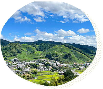 茶源郷